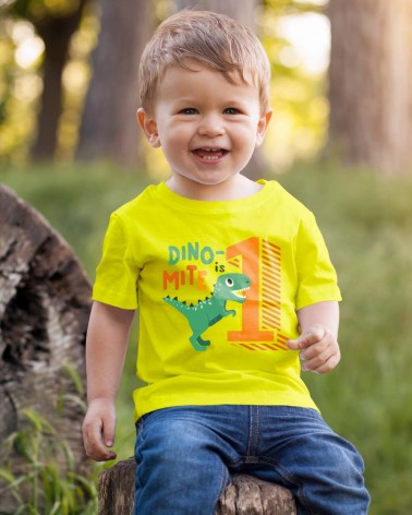 Dino-mite Birthday T-shirt